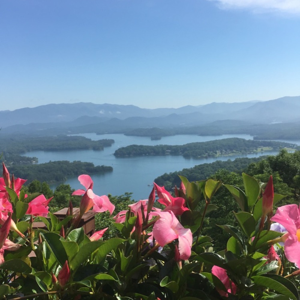 Meet your Posher, Addie